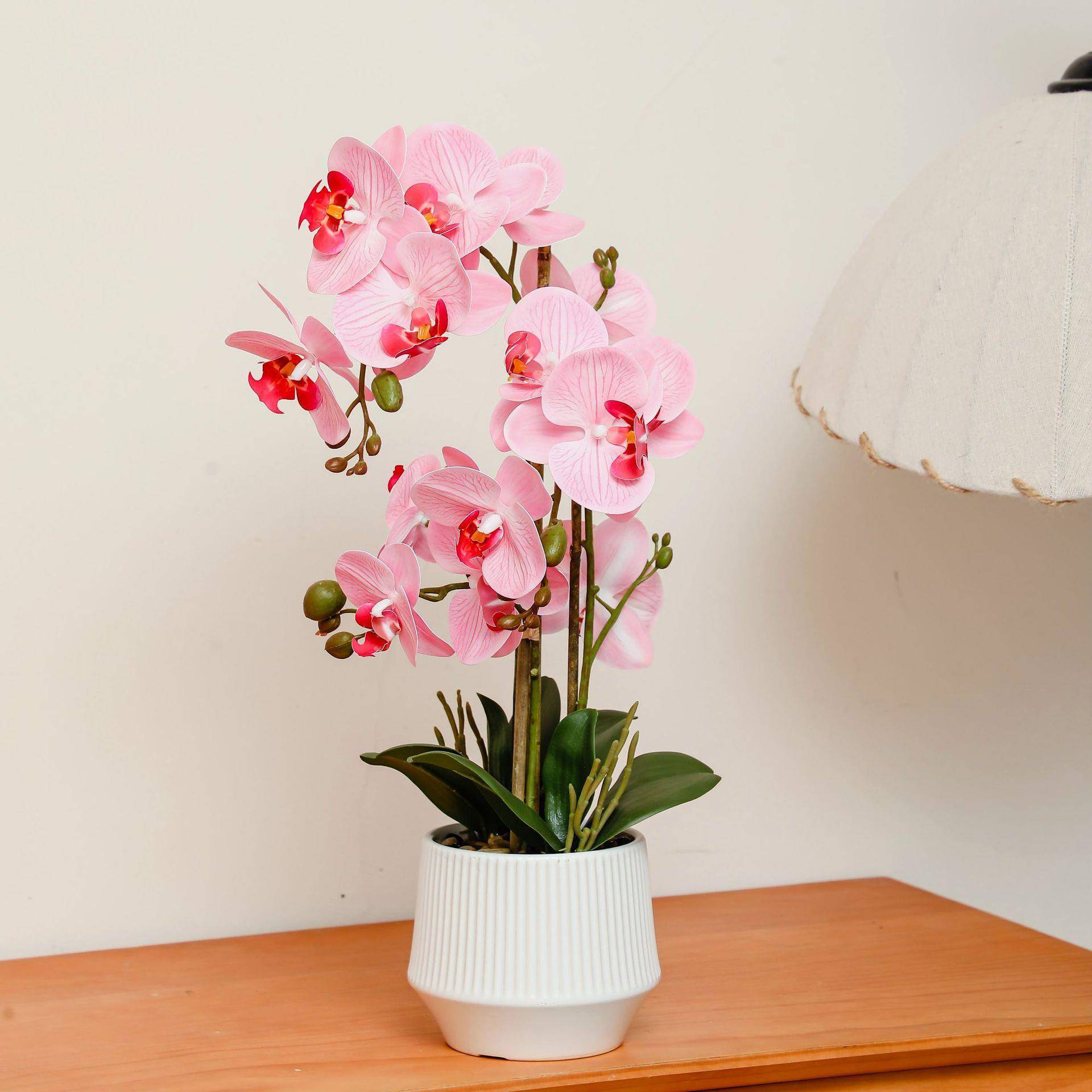 蝴蝶兰盆栽带花剑带花苞仿真花办公桌仿真大号白色带花发货含盆