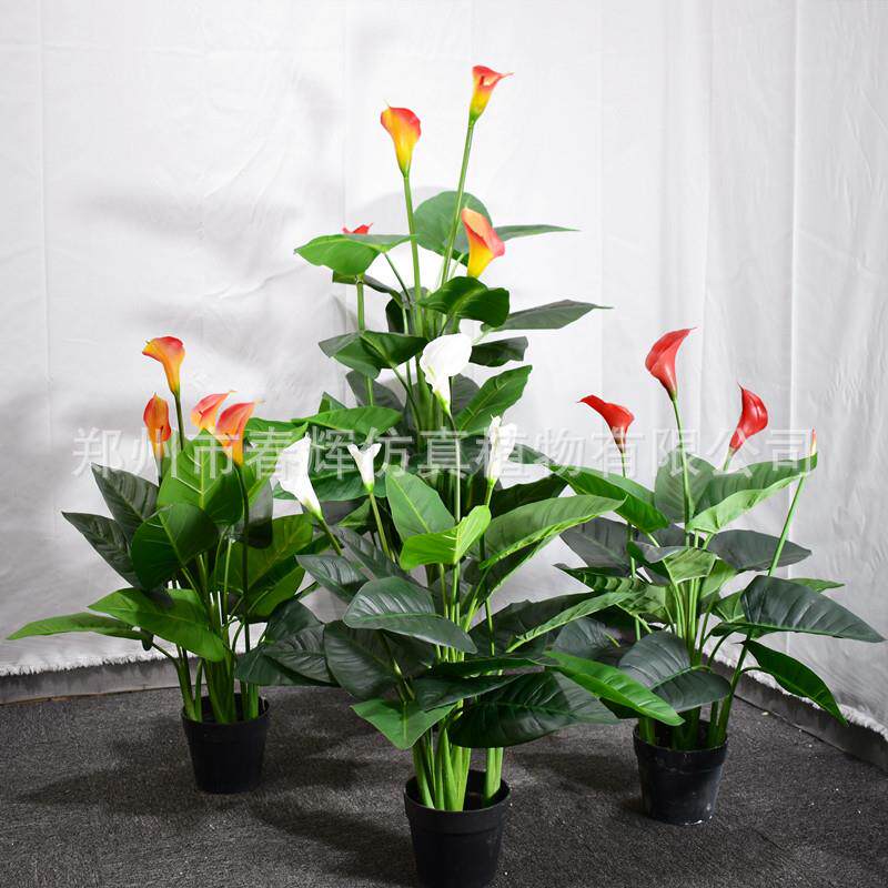厂家直供仿真马蹄莲盆栽仿真马蹄莲树假马蹄莲定 制玫红色马蹄莲