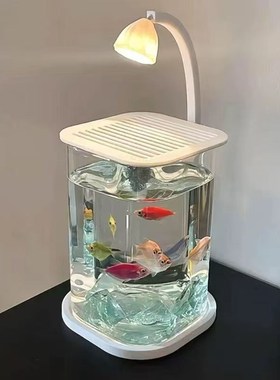 斗鱼专用缸超白小型玻璃缸办公桌面摆件高级感桌面生态缸夜灯鱼缸