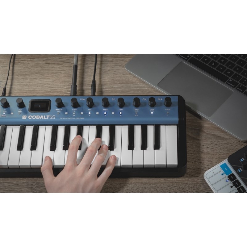 【野雅绫】MODL ELECTRONICS COBLT5S 37键5复音模拟合成器