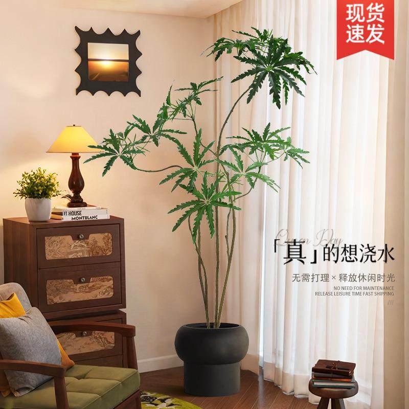 假绿植仿真孔雀木室内高级仿生植物客厅沙发边中古风落地装饰盆栽,电子元器件市场,其它元器件,淘宝优惠券,粉丝福利购,淘宝优惠卷