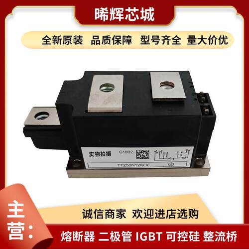 TT250N12KOF TT430N22KOF 型号齐全大功率可控硅双向 标准封装