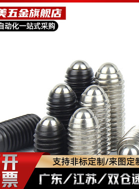 BPU3BPU4BP球头柱塞 标准型 BPU3/4/5/6/8/10/12/16/20