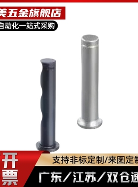 肩扣环固定型铰链销MIC14/MIC13/MIC12/MIC01/MIC02/MIC06