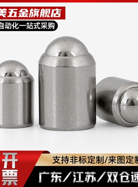 替BSZP5 6 8 10 12光身型球头柱塞无牙定位珠弹弓顶销螺钉