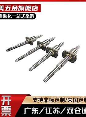 C-TBSE-TBSB0802-1002/1004/1505/1516/1520/2010/3210滚珠丝杆