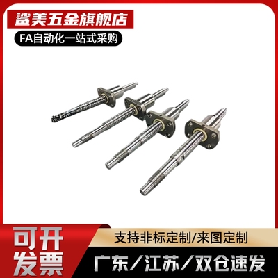 C-TBSE-TBSB0802-1002/1004/1505/1516/1520/2010/3210滚珠丝杆