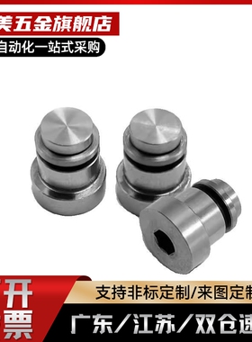 直线导轨定位销偏心销 LLT 1.4/1.8/3.5/5 LLTS ICE1