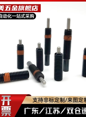 PJL8-5PJL3/4/5/6/8/10/12-1.5/2/3/4/5/10/15/20 轻载型弹簧柱塞