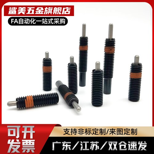 PJL8-5PJL3/4/5/6/8/10/12-1.5/2/3/4/5/10/15/20 轻载型弹簧柱塞