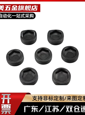 沉头螺塞 MSWT/MSWTK-J/S/1/2/3/4/5/6/8