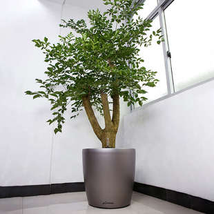 花盆北欧简约室内外阳台客厅吸水塑料陶瓷大自动花盆号花盆仿懒人