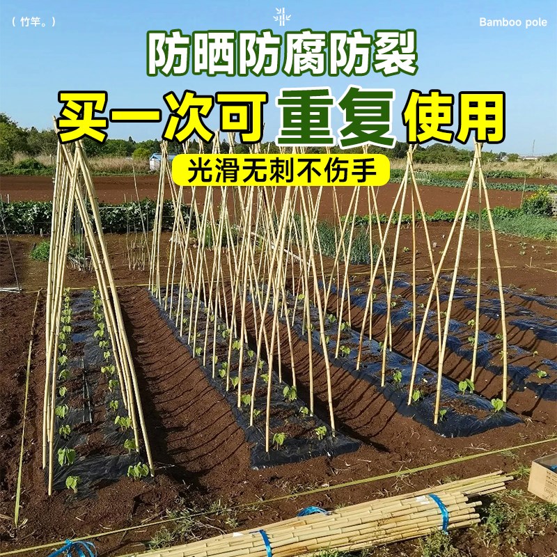 豆角架杆竹竿菜园搭架黄瓜番茄爬藤架葡萄架小竹子细竹竿篱笆栅栏