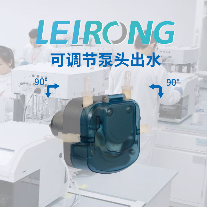 雷熔大流量00ml微型蠕动泵V/2V小型自吸抽水果汁灌装实验室泵