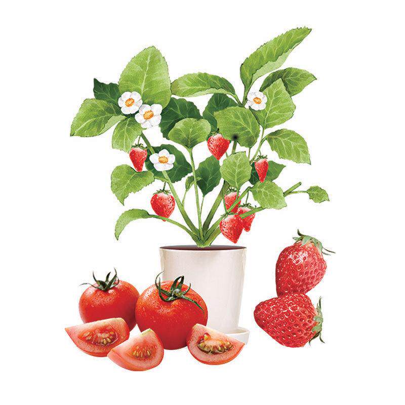 创意装饰防水瓷砖贴画卫生间厨房遮挡钉墙冰箱遮丑补洞贴纸贴花眼