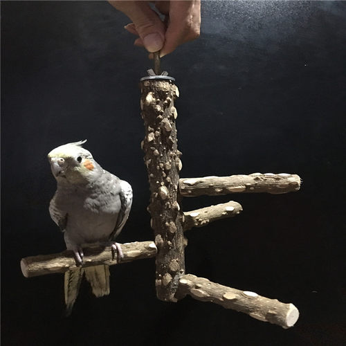 虎皮鹦鹉玩具鸟站棍牡丹玄宠物用品爬梯玩具啃咬玩具秋千笼子站架