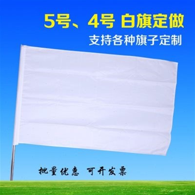 占云5号白旗4号 旗帜定做 彩旗 班旗校旗导游旗订做广告公司标志