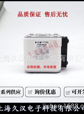 170L957170BL95NMU7a3170L92575170L9576170L9578伊顿ussmnn