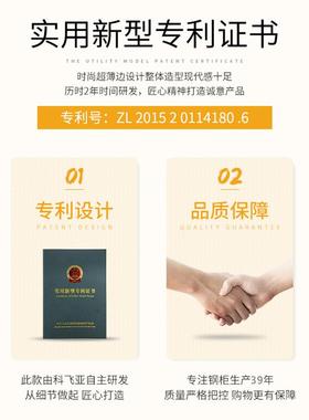 文柜件柜MHX钢锁制铁皮柜办公室资料档简案柜带储物更衣柜带抽屉