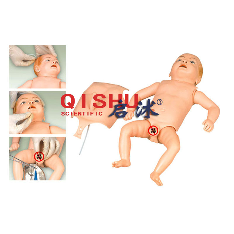 高级婴儿护理人模型,组合式新生儿护理模型 QS/H130