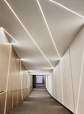 TRIAC可硅LED灯带程2YUL20伏户外超防水亮软灯条控工氛围灯高压客