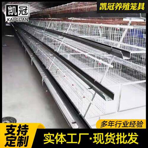 双边阶梯式蛋笼冷镀锌铁丝网鸡鸡舍子笼三层四层阶梯式GOR立养鸡