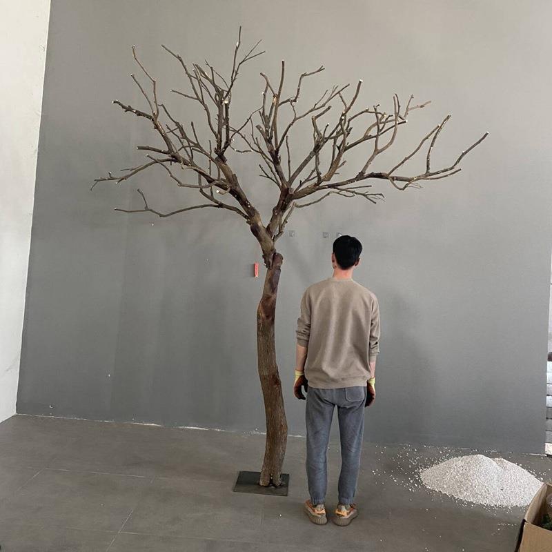 干树枝然天造型干枝枯软装木装饰实木树干造型树0001枯枯树美陈造