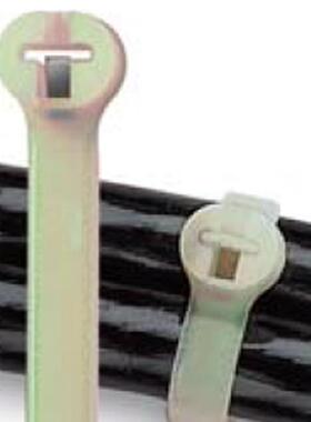 TYHT27MAB耐超高温46本色龙扎带B,6尼.8616.*40.6mm