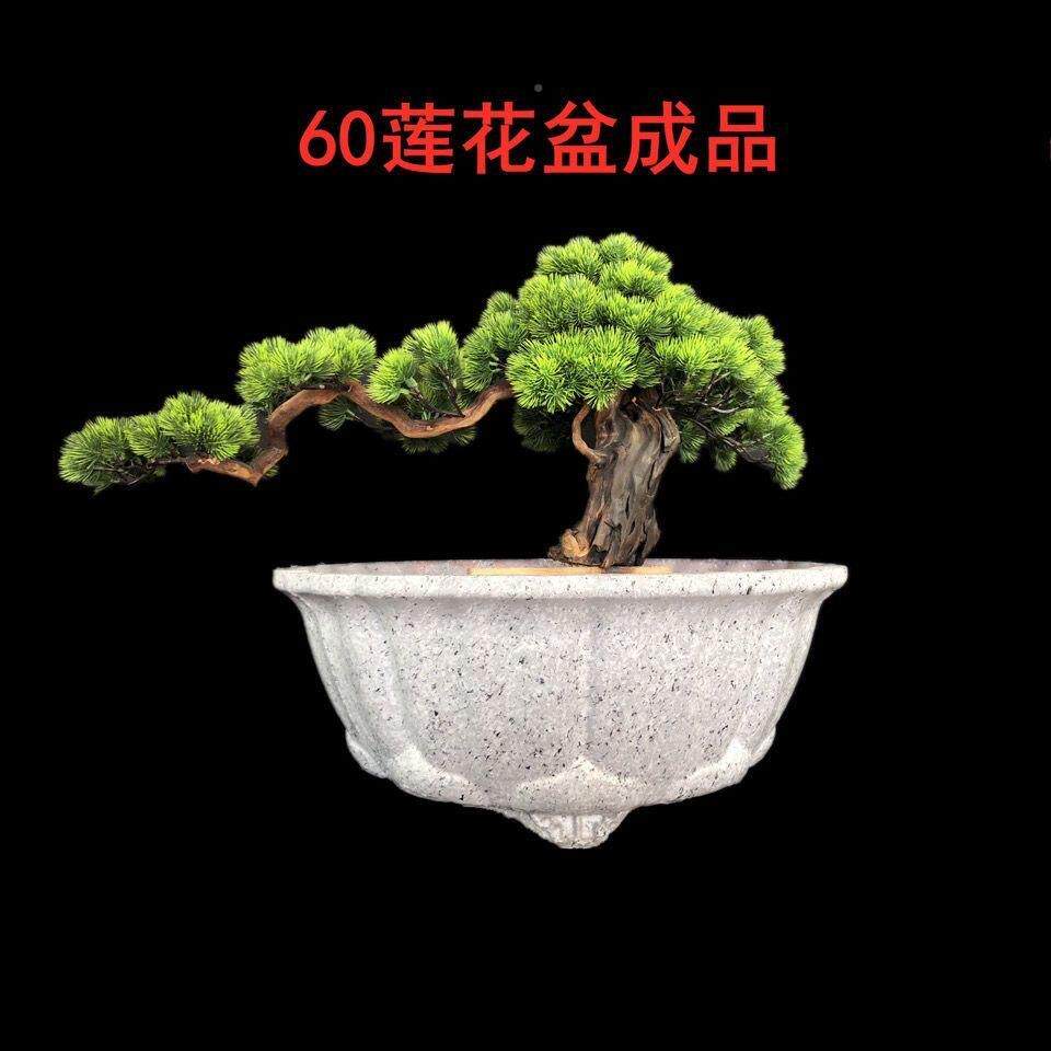 【泥号花盆模具莲花盆】塑料水花大盆模具大号GTB零售可