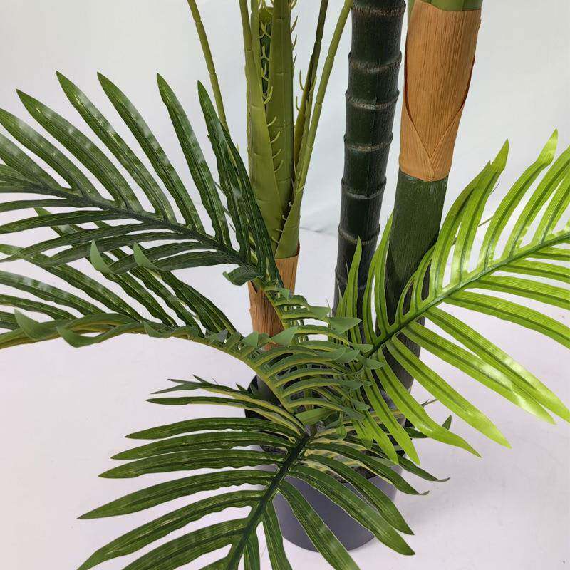 真植物葵散葵尾盆栽天竺葵EYB凤尾葵真绿植室内装仿饰盆景假树