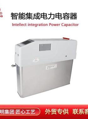 ZMZ-CS/450-10 20 30 智能集成电力电容器 三相共补 分相补偿