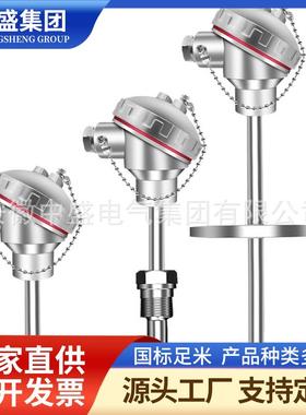 温度仪表高温耐磨热电偶WRNN2-436L=880*630φ25