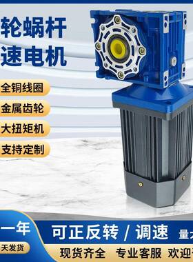 RV30/40齿轮箱可正反转调速电机 60-300W单相220V 蜗轮减速机现货
