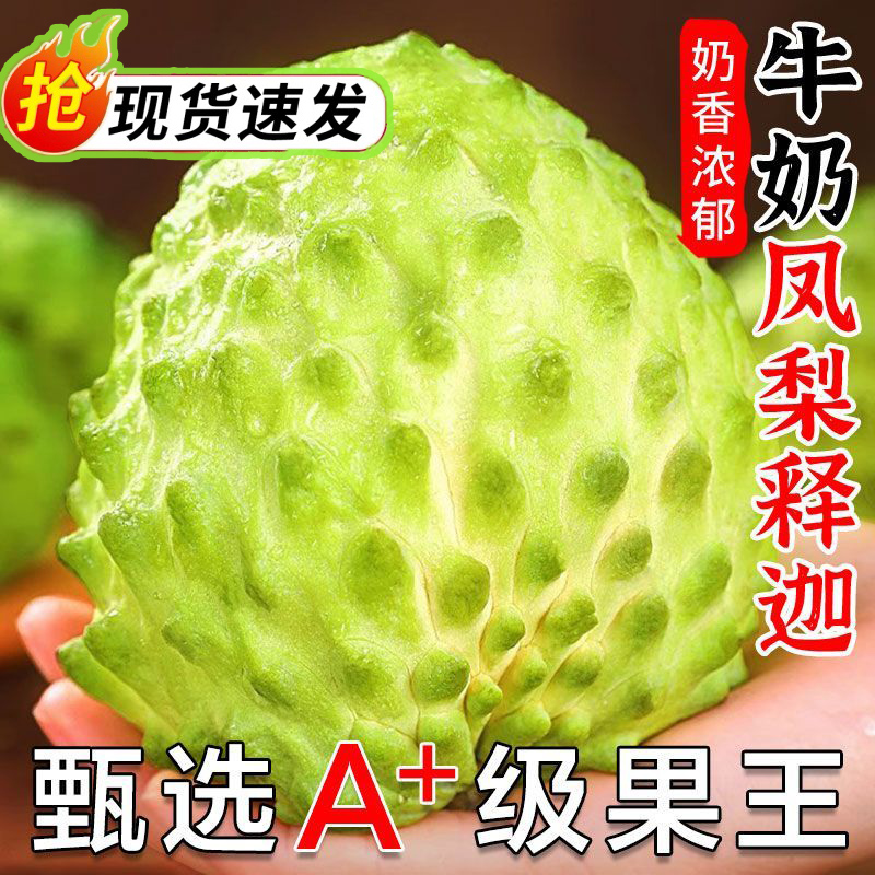 云南牛奶释迦果特大凤梨大目佛头