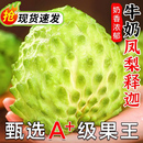 现摘云南牛奶释迦果花皮新鲜高端稀有水果凤梨特大目番荔枝佛头果