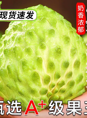 现摘云南牛奶释迦果花皮新鲜高端稀有水果凤梨特大目番荔枝佛头果