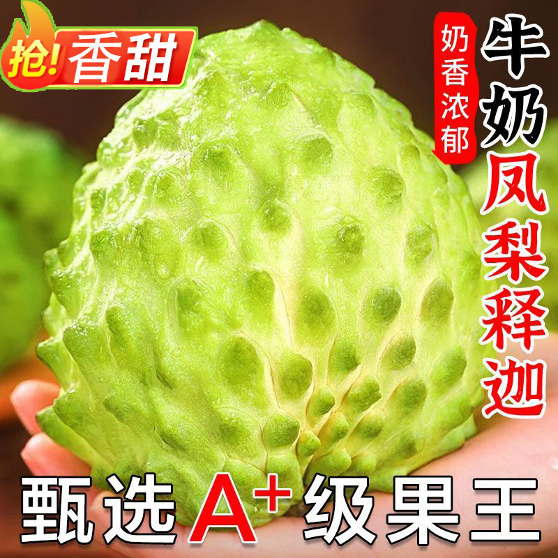 云南牛奶释迦果特大凤梨大目佛头