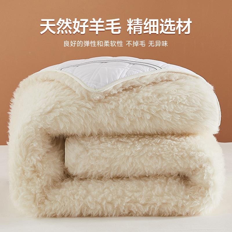 o7447506纯羊毯子床垫冬宿舍学生毛铺秋床单绒毯加厚冬季绒羊绒盖