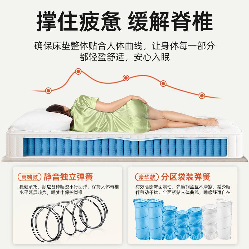 3050席梦济思用床垫软硬两cm厚18米1..5m家用宿舍经舒适型立弹簧床垫