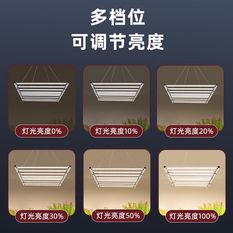 灯植生长灯全光谱红蓝植物蔬菜叶菜花绿植育II苗物多卉肉植物补光