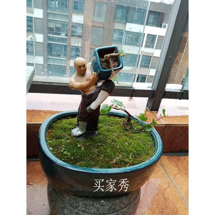 中华武术功夫陶瓷物摆赏件山园林假盆景公仔花F87567ST盆落观人地