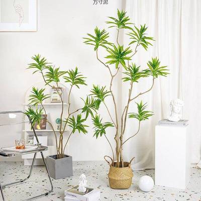 植BD101091大物琉璃兰百合竹绿植型落室内客地盆栽厅仿生装饰摆件