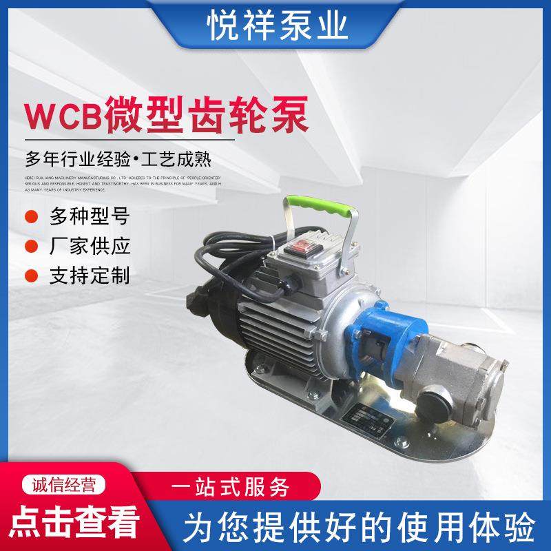 B微型齿EUM轮泵C手提式齿轮泵微型电B动抽油泵C力吸齿轮油泵