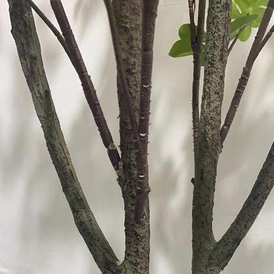 FR仿植t物双杆三杆吊钟盆栽绿植盆景Simulatio真ngreenplan跨境