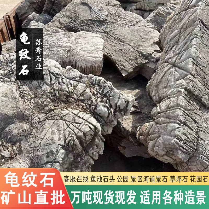 安徽龟纹石景石 河道护坡石 假山石料 公园造景石头 草坪石龟纹石