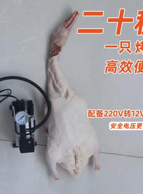 烧鸭HNI打气机吹鸭子打烤气充泵烧鹅打气泵鸭烤鸡气屠宰牛羊猪打