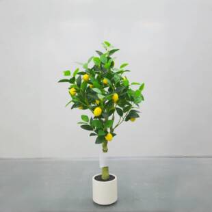 仿真植物柠檬树盆栽服装店室内落地桔子树摆件装饰假树绿植盆景