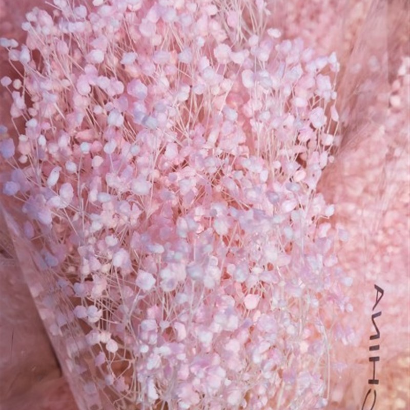 干燥花永生花梦幻星满天星花束DIY花材昆明直发