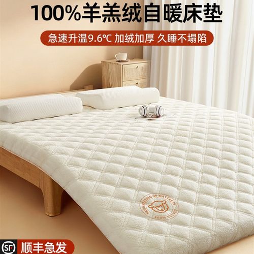 羊羔绒床垫软垫家用卧室冬季180x200加厚保暖床褥子租房专用垫被