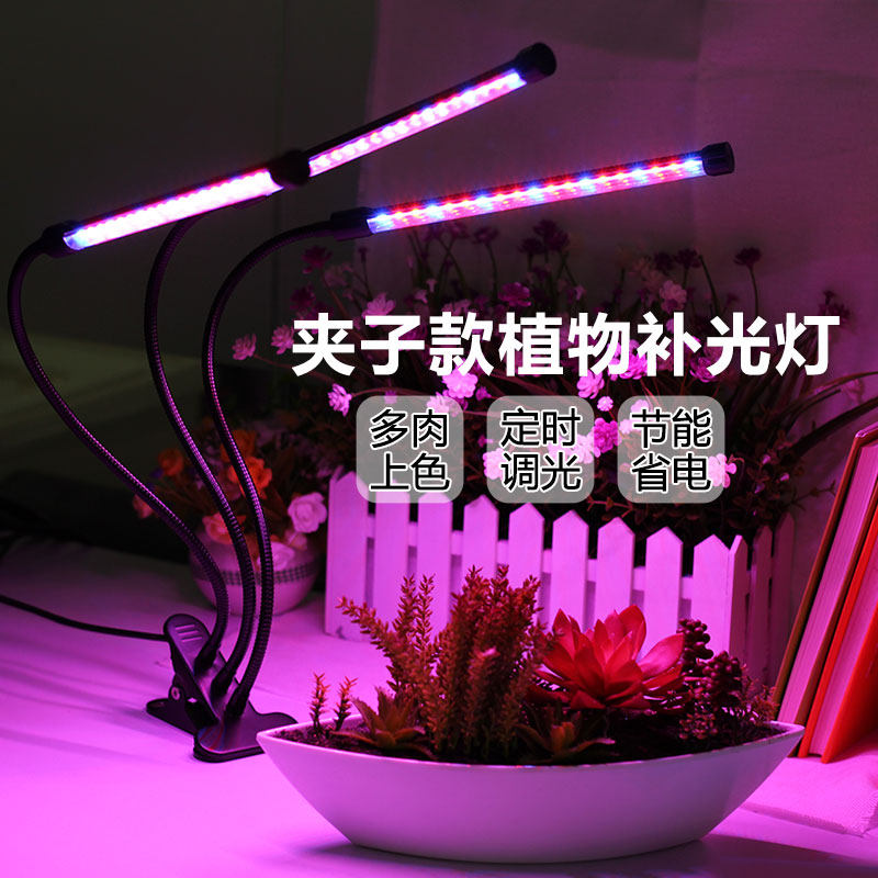 兰花专用补光灯植物生长灯全光谱仿太阳光上色种菜育苗多肉防徒长